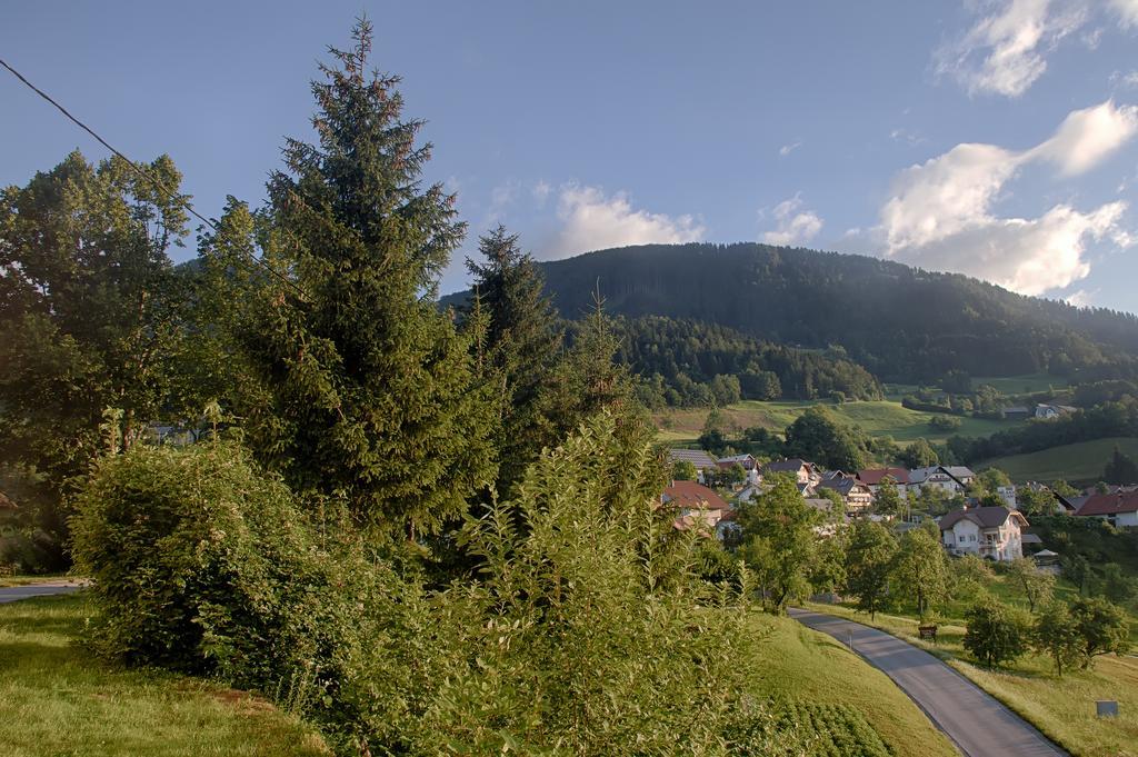 Gostilna Pension Blegos Poljane nad Škofjo Loko Exterior photo