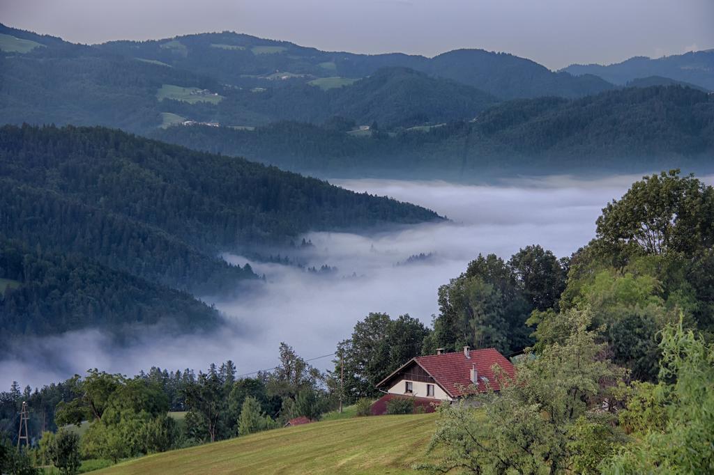 Gostilna Pension Blegos Poljane nad Škofjo Loko Exterior photo