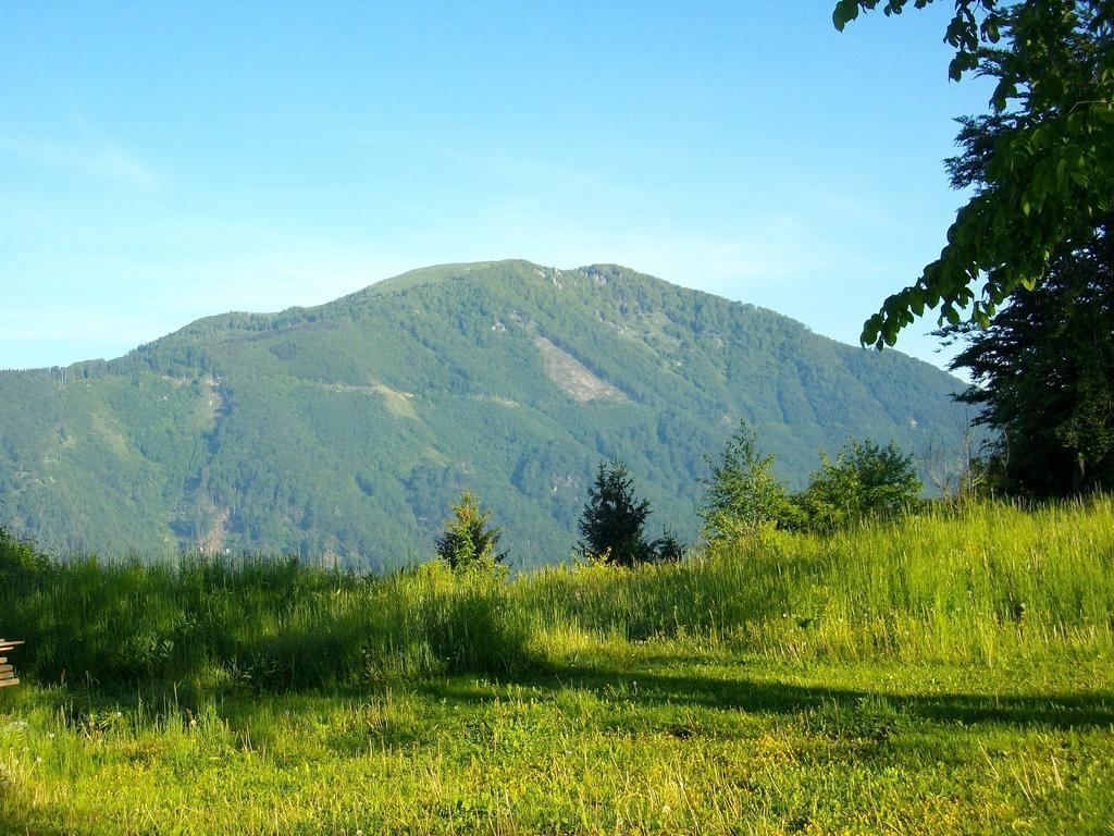 Gostilna Pension Blegos Hotel Poljane nad Škofjo Loko Exterior photo